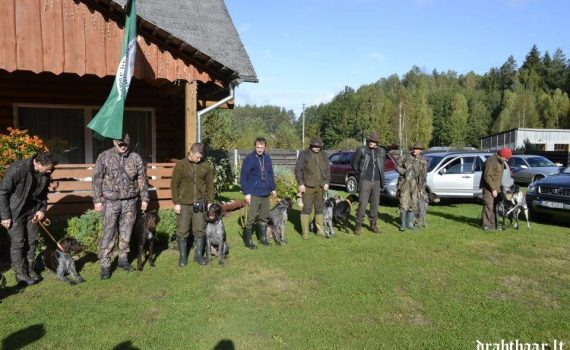 Rudieninių vižlų bandymų rezultatai 2014-09-27